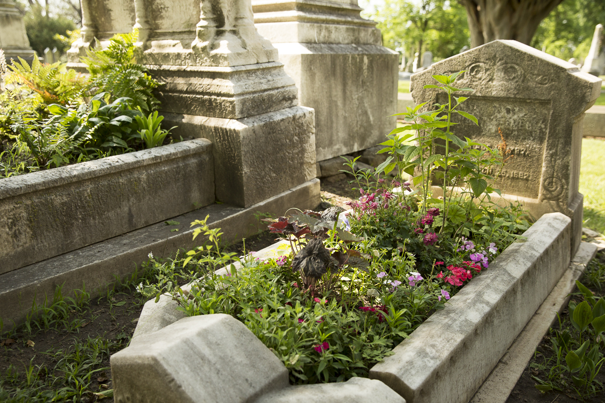 The Graveyard of Good Ideas: How I Choose What Gets to Grow