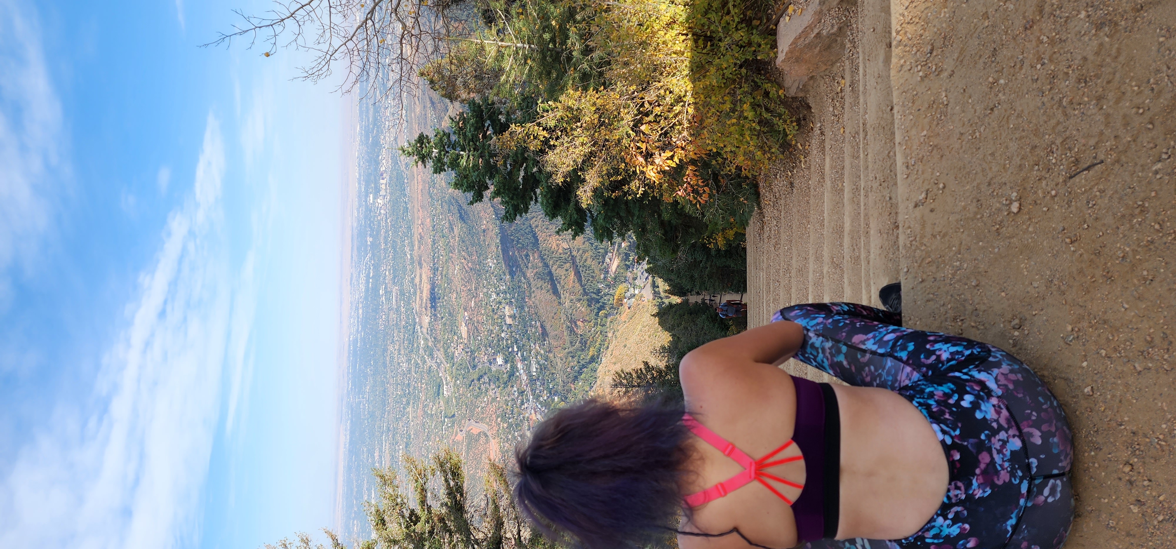 The Ladder is Broken: Why I'm Growing Like a Vine Instead