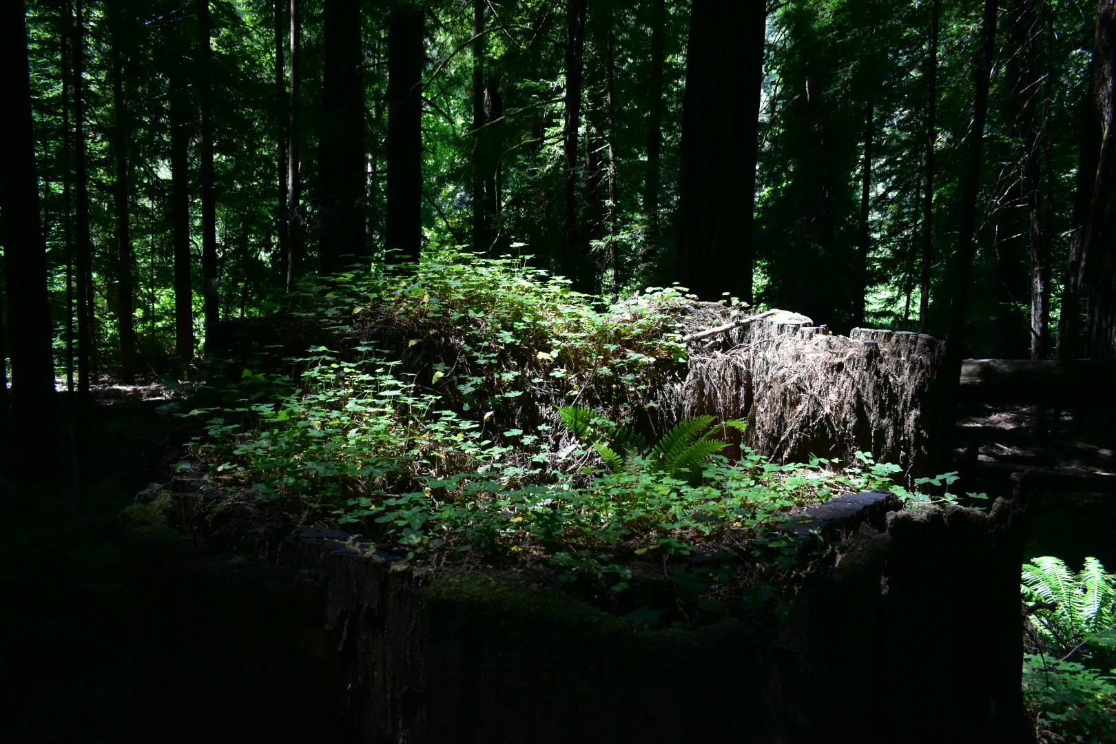 You Belong in the Room: Overcoming the 'Wrong Pot' Syndrome