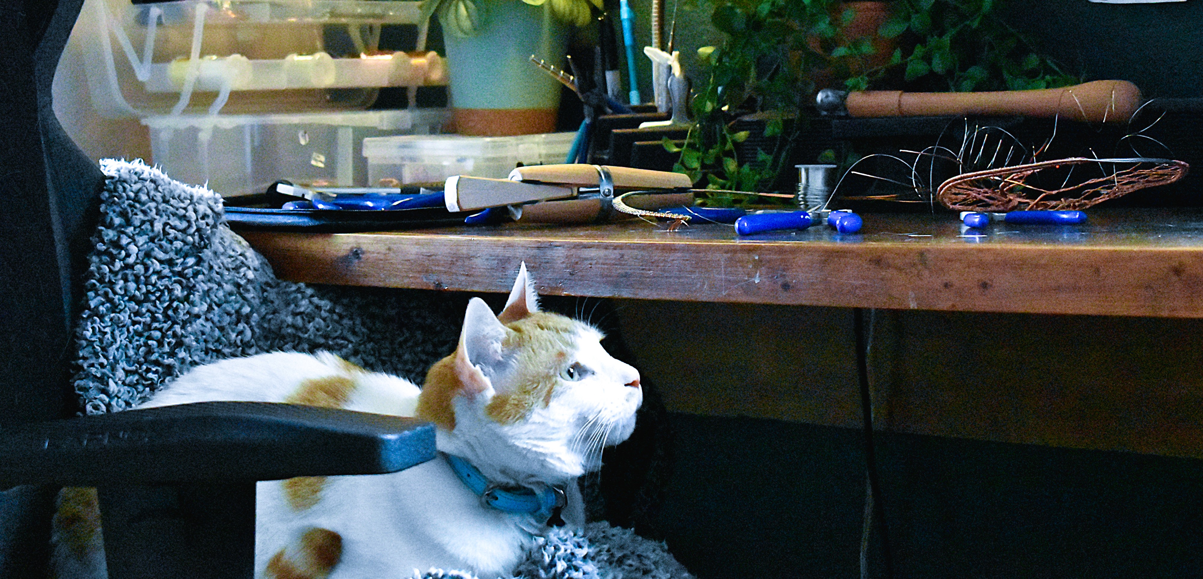 Before the Screens Come On: Why I Still Make Things with My Hands